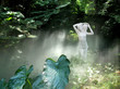 apparition