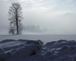 endlose winterlandschaft