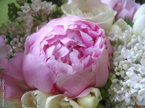 bouquet de fleurs bouquet de fleurs