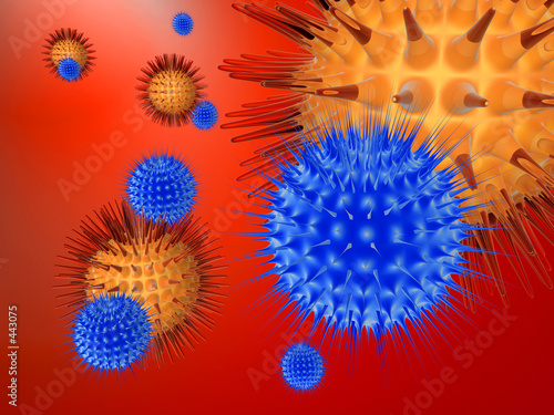 viruses vs. immune system 1