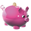 cochon sue
