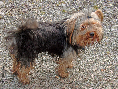 Foto: chicco chicco