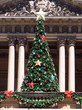 christmas tree, sydney town hall christmas tree, sydney town hall