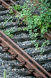 rail-ronce