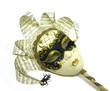 mask