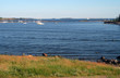 coast of gulf of finland