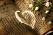 light heart