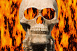 burning skull
