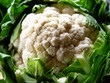 blumenkohl