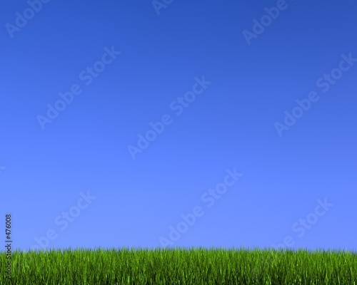 blue sky. lue sky on grass
