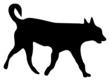 silhouette of a dog