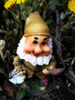 nain de jardin
