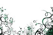 coloured plants