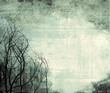 winter  frame