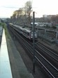 rer