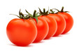 tomatoes