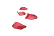 rose petals