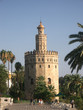 torre del oro