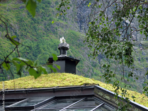 Photo : sweet home sweet home