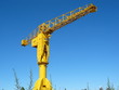 Grue Titan jaune Nantes