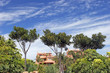 luxury apartment block in puerto banus on the costa del sol