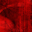 chineese red background with signs chineese red background with signs