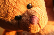 peluche ourson peluche ourson