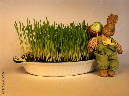 alleine osterne hase alleine osterne hase