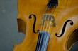 violon
