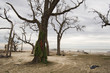 hurricane racked beach