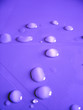 gouttes violettes