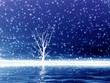 lonely tree in snow
