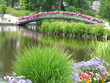 The Flower Bridge