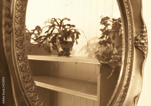 antique mirror reflexion