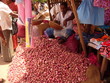 marché de matara marché de matara