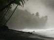 view of the beach in punta banco at dawn