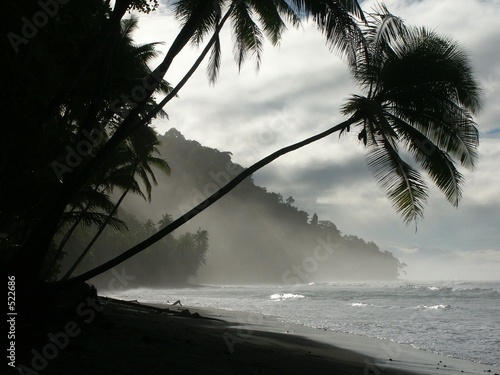 view of the beach in punta banco at dawn