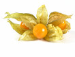 physalis