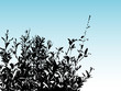 bush silhouette