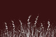flower abstract flower abstract