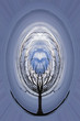 abtract two headed tree
