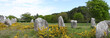 le site de carnac
