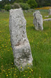le site de carnac