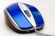 blue mouse