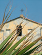kirche kirche