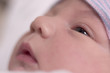 newborn newborn