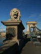 stone lion budapest chain bridge