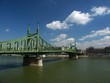 liberty bridge and danube