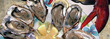 seafoods 1