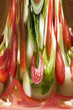 falling vegetables